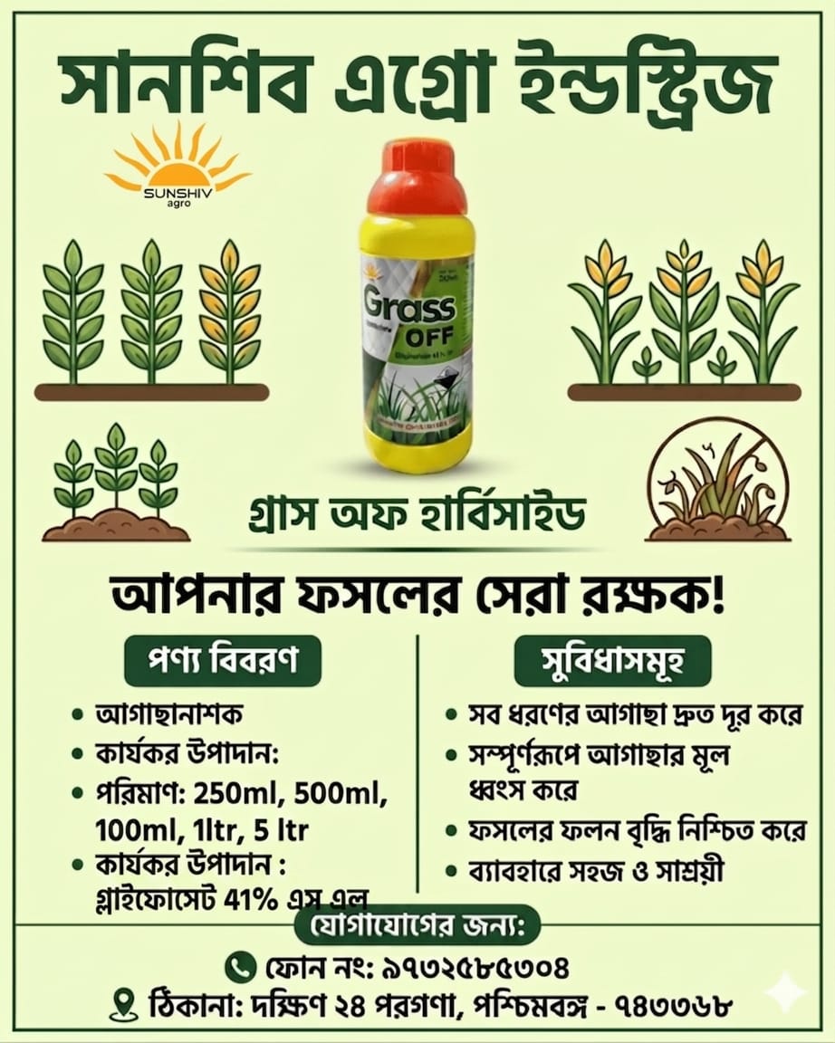 WhatsApp Image 2026 06 06 At 3.05.34 PM