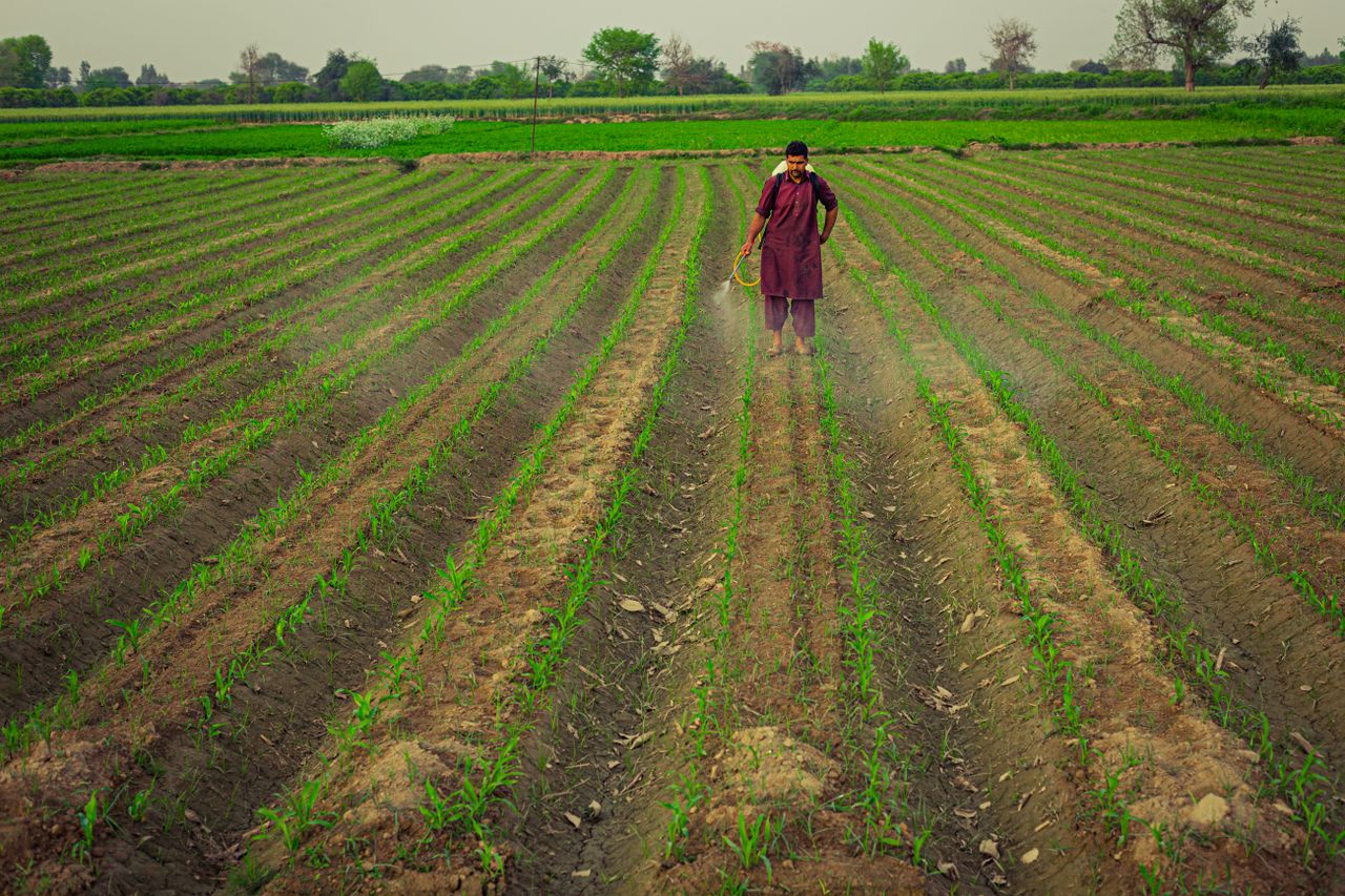 about-img A farmer sprays crops in a vibrant green field, showcasing modern agriculture in Pakistan.