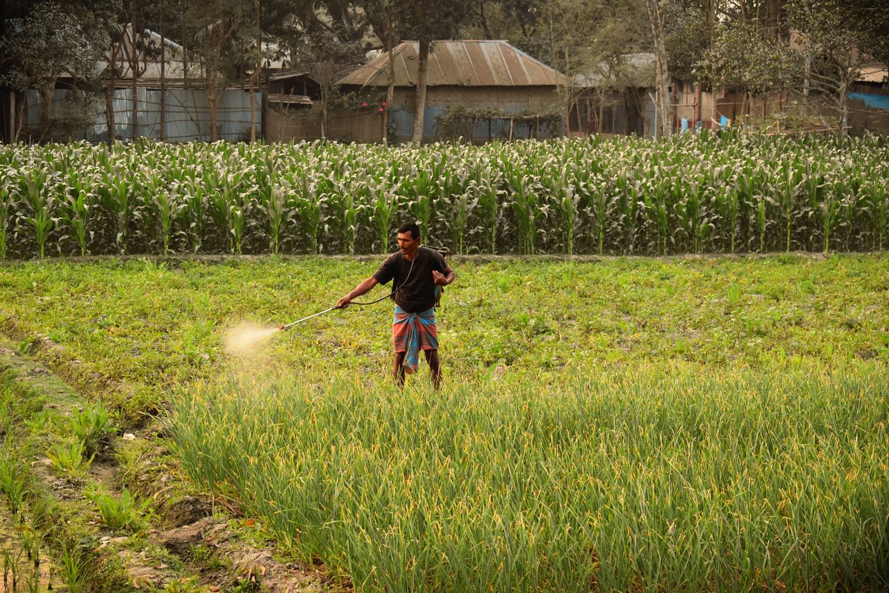 A farmer using a sprayer in a verdant field against a rural backdrop, showcasing agricultural life.